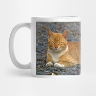 CAT IN THE GARDEN Mug